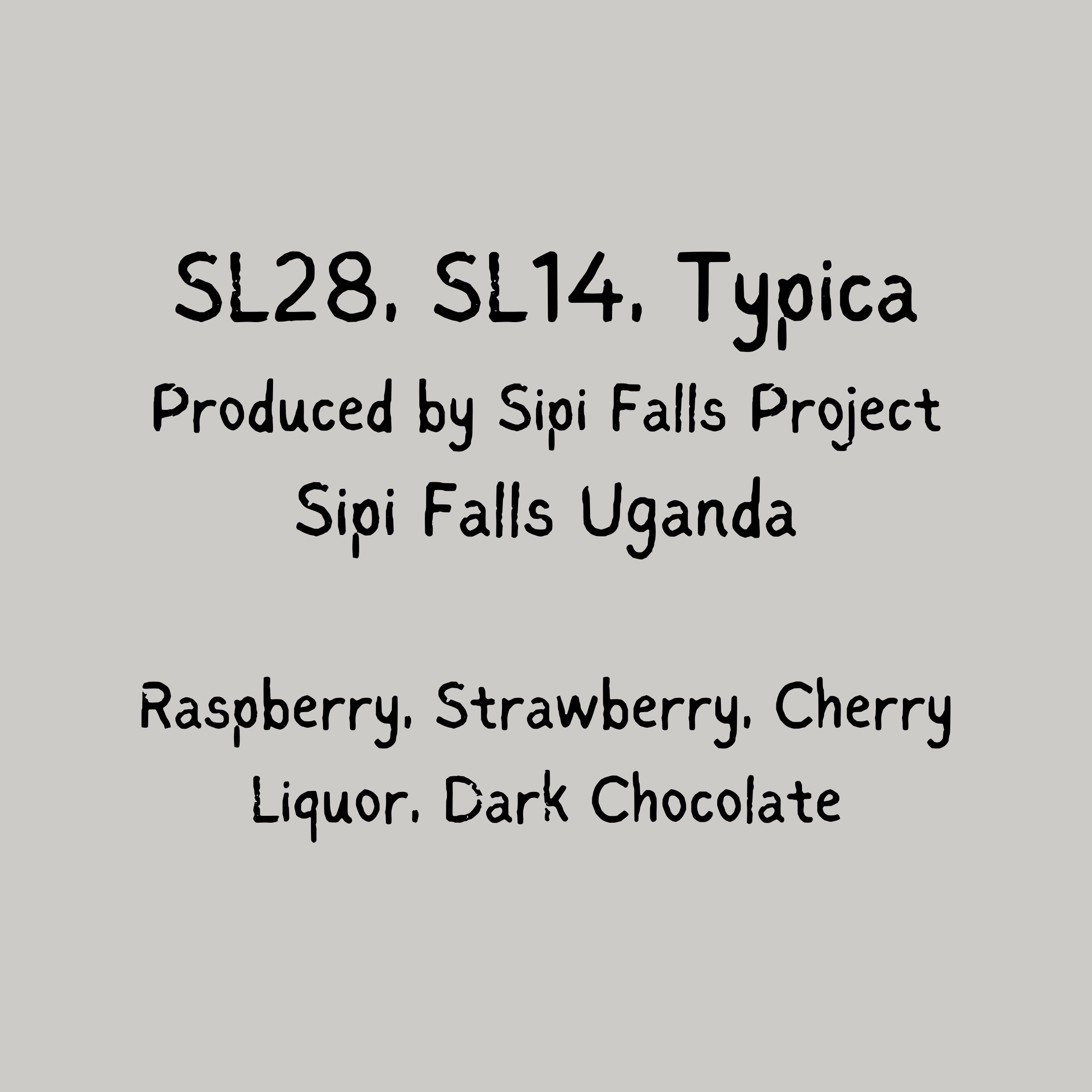 Cerise Noir - Sipi Falls
