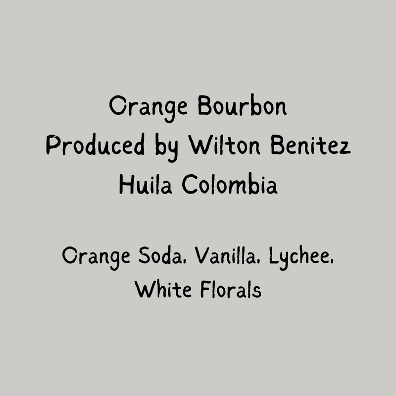 Solara - Wilton Benitez
