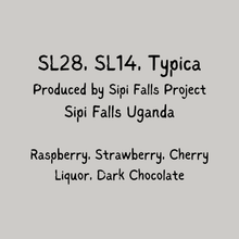 Cerise Noir - Sipi Falls