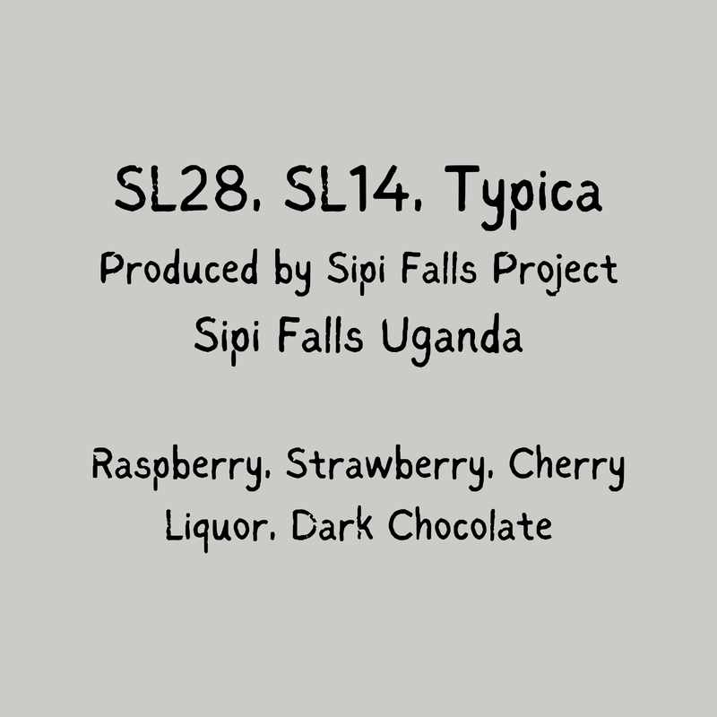 Cerise Noir - Sipi Falls