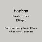 Danche - Ethiopia