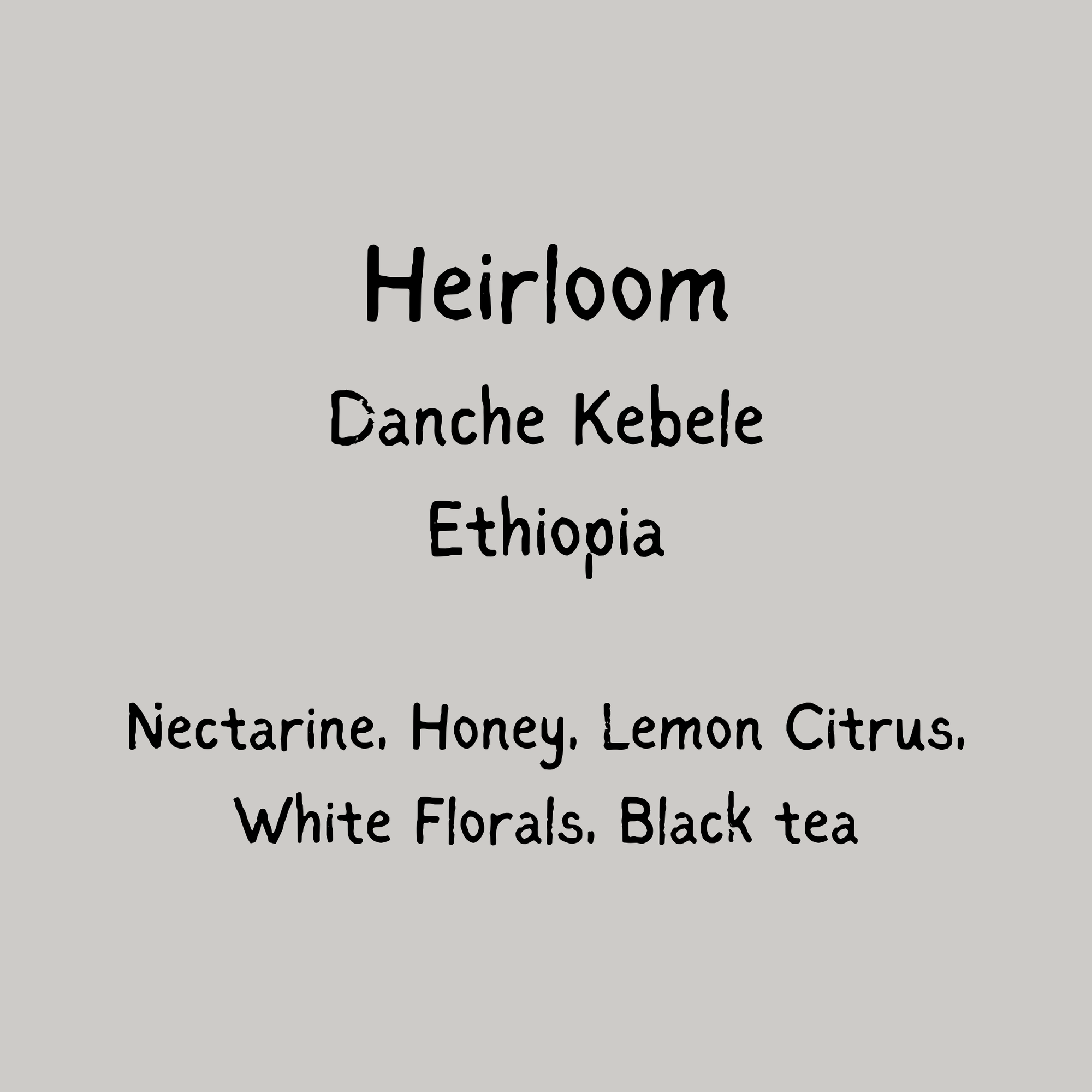 Danche - Ethiopia