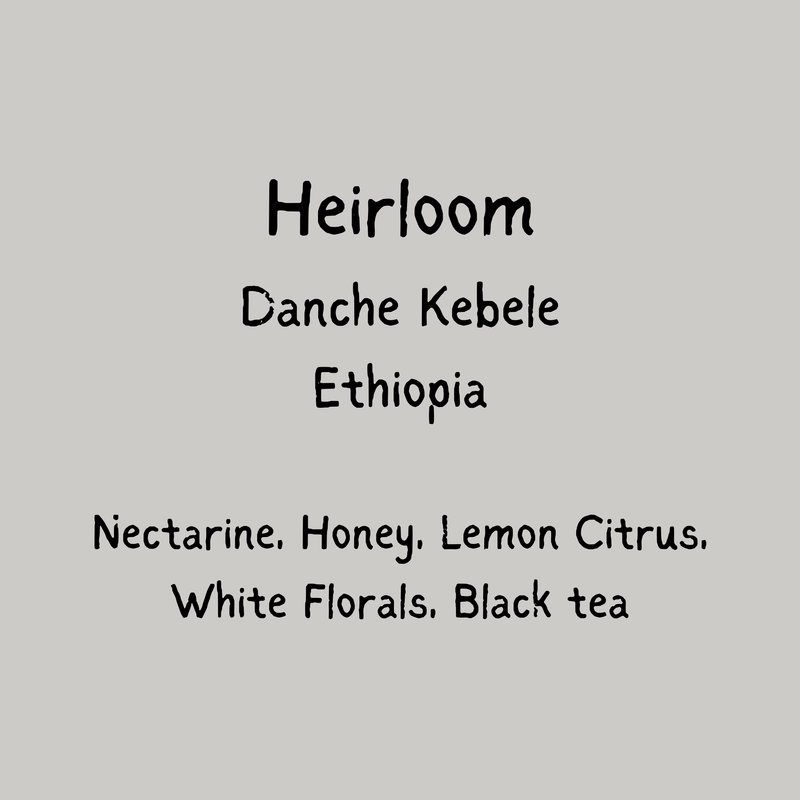 Danche - Ethiopia